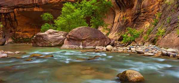 Visit Zion National Park